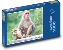 Opice - krmení, matka Puzzle 1000 dílků - 60 x 46 cm