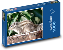 Eichhörnchen - Nagetier, Tier Puzzle 1000 Teile - 60 x 46 cm