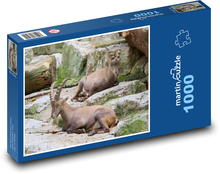 Kozorožec - zviera, skaly Puzzle 1000 dielikov - 60 x 46 cm 