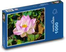 Lotus - květina, květ Puzzle 1000 dílků - 60 x 46 cm