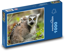 Lemur - matka i młode, zwierzę Puzzle 1000 elementów - 60x46 cm