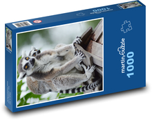 Lemurs - animals, mammals Puzzle 1000 pieces - 60 x 46 cm 