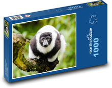 Lemur - Nahaufnahme, Tier Puzzle 1000 Teile - 60 x 46 cm