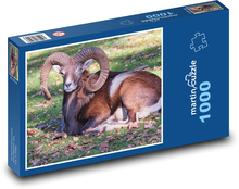 Muflon - beran, zvíře  Puzzle 1000 dílků - 60 x 46 cm