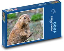 Prérijní pes - zvíře, hlodavec Puzzle 1000 dílků - 60 x 46 cm