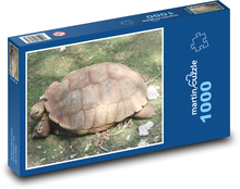 Želva - krunýř, plaz Puzzle 1000 dílků - 60 x 46 cm