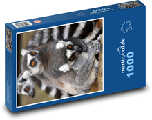 Tier - Lemur, Säugetier Puzzle 1000 Teile - 60 x 46 cm