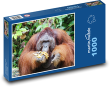 Orang-Utan - Tier, Affe Puzzle 1000 Teile - 60 x 46 cm