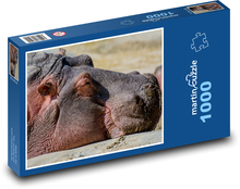 Hroch - zvíře, zoo Puzzle 1000 dílků - 60 x 46 cm