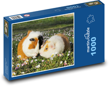 Guinea pig - daisies, animals Puzzle 1000 pieces - 60 x 46 cm 
