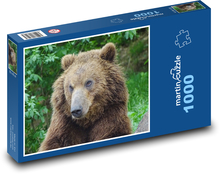 Kamchatka bear - Brno Zoo, animal Puzzle 1000 pieces - 60 x 46 cm