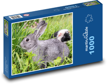 Králík - zvíře, hlodavec Puzzle 1000 - 60x46 cm