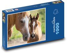 Kůň - hříbě, kobyla Puzzle 1000 dílků - 60 x 46 cm
