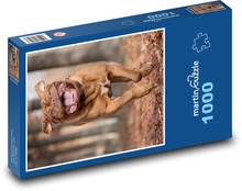 Dane of Bordeaux - zviera, pes Puzzle 1000 dielikov - 60 x 46 cm 