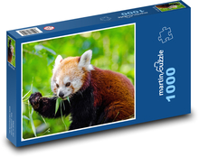 Panda červená - zvíře, divoké Puzzle 1000 dílků - 60 x 46 cm