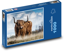 Highland cattle - cow, animal Puzzle 1000 pieces - 60 x 46 cm 