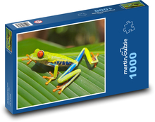 Frog - animal, weatherman Puzzle 1000 pieces - 60 x 46 cm 