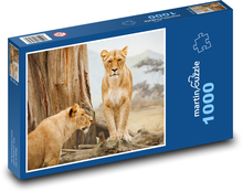 Lioness - animal, mammal Puzzle 1000 pieces - 60 x 46 cm 