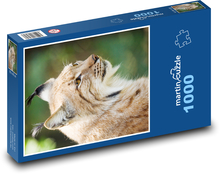 Rysie - dziki kot, ssak Puzzle 1000 elementów - 60x46 cm