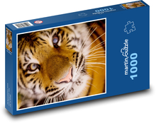 Tiger - whiskers, carnivore Puzzle 1000 pieces - 60 x 46 cm 