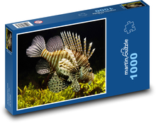 Morské ryby - podvodné, morské Puzzle 1000 dielikov - 60 x 46 cm 