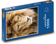 Lev - král zvířat, zvíře Puzzle 1000 dílků - 60 x 46 cm