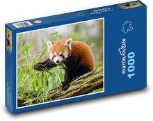 Red panda - branch, animal Puzzle 1000 pieces - 60 x 46 cm 