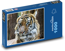 Tiger - zviera, veľká mačka Puzzle 1000 dielikov - 60 x 46 cm 