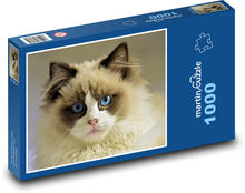 Kočka - mazlíček, modré oči Puzzle 1000 dílků - 60 x 46 cm