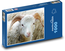 Ovce - zviera, cicavec Puzzle 1000 dielikov - 60 x 46 cm