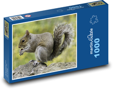 Eichhörnchen - Nagetier, Tier Puzzle 1000 Teile - 60 x 46 cm