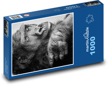 Gorila - primát, opice Puzzle 1000 dílků - 60 x 46 cm