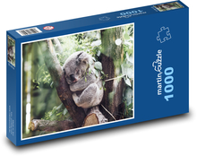Koala - Säugetier, Tier Puzzle 1000 Teile - 60 x 46 cm