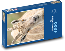 Goat - head, horns Puzzle 1000 pieces - 60 x 46 cm 