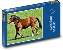 Kôň - zviera, cicavec Puzzle 1000 dielikov - 60 x 46 cm 
