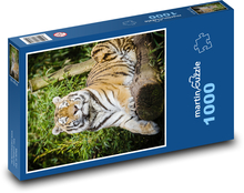 Tiger - Großkatze, Säugetier Puzzle 1000 Teile - 60 x 46 cm
