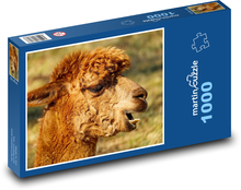Alpaka - hlava, zviera Puzzle 1000 dielikov - 60 x 46 cm 