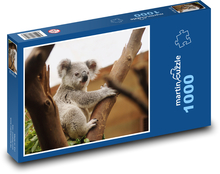 Koala - torbacz, zwierzę Puzzle 1000 elementów - 60x46 cm