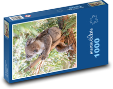 Koala - vačnatec, býložravec Puzzle 1000 dílků - 60 x 46 cm