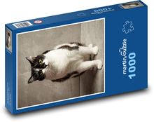 Kočka - mazlíček, zvíře Puzzle 1000 dílků - 60 x 46 cm