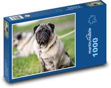 Mops - pes, zviera Puzzle 1000 dielikov - 60 x 46 cm