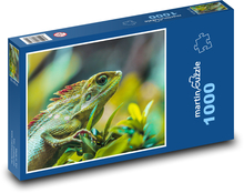 Ještěrka - plaz, zvíře Puzzle 1000 dílků - 60 x 46 cm