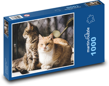 Katze - Tier, Haustier Puzzle 1000 Teile - 60 x 46 cm