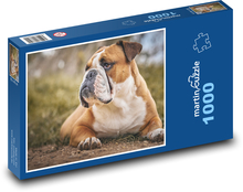Bulldog - dog, animal Puzzle 1000 pieces - 60 x 46 cm 