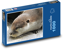 Vydra - zoo, zvíře Puzzle 1000 dílků - 60 x 46 cm