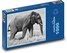 Slon - zvíře, Safari Puzzle 1000 dílků - 60 x 46 cm