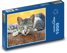 Kočka - kotě, mazlíček Puzzle 1000 dílků - 60 x 46 cm