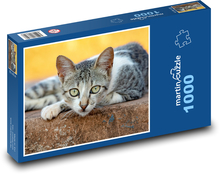 Kočka - kotě, mazlíček Puzzle 1000 - 60x46 cm