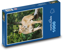 Löwin - Shešlma, Löwe Puzzle 1000 Teile - 60 x 46 cm