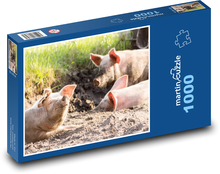 Schweine - Tiere, Bauernhof Puzzle 1000 Teile - 60 x 46 cm